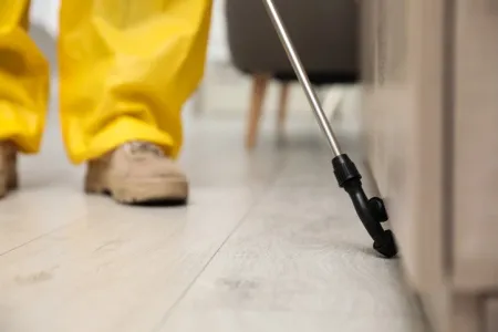 pest-control-service-summary