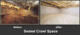 before and after basement encapsulation- Pest Solutions | Expert Pest Removal & Treatment Services