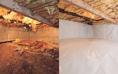 before an dafter basement encapsulation - Pest Solutions in Virginia | Expert Pest Removal & Treatment Services