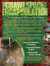crawl space encapsulation and waterproofing company- Pest Solutions | Expert Pest Removal & Treatment Services