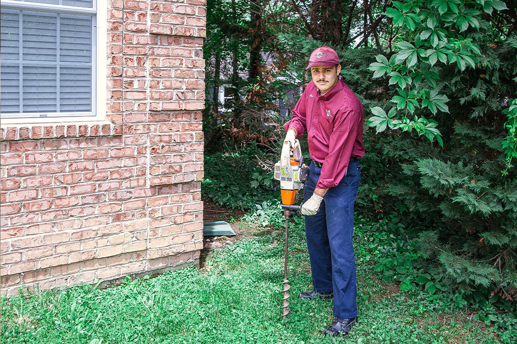 insects, rodents, wasps, bees removal - Pest Solutions in Virginia | Expert Pest Removal & Treatment Services